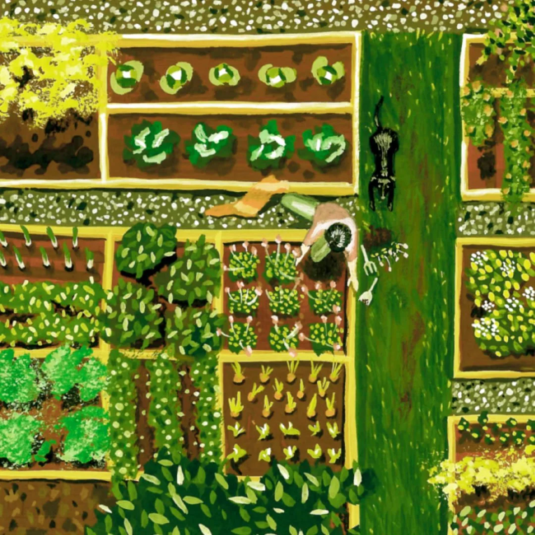 At the Vegetable Patch.jpg