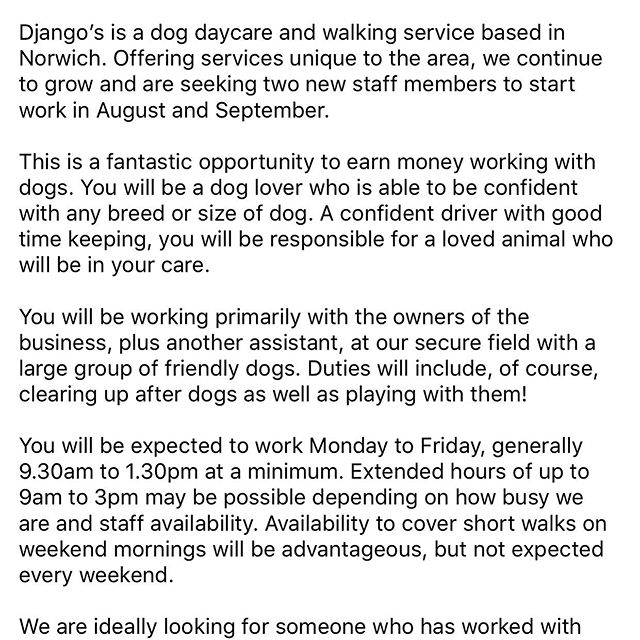 WE ARE HIRING! 🙌🏻🙌🏻 Looking for a couple of lovely people to help as Daycare Assistants/Dog Walkers. 😁

You need a driving license, car, a love for animals and experience working with dogs would be great BUT not essential. 
Head over to our Face