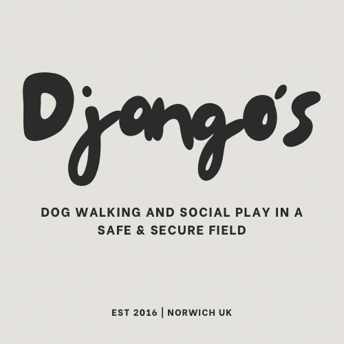 Django's | Dog Walking and Socialisation