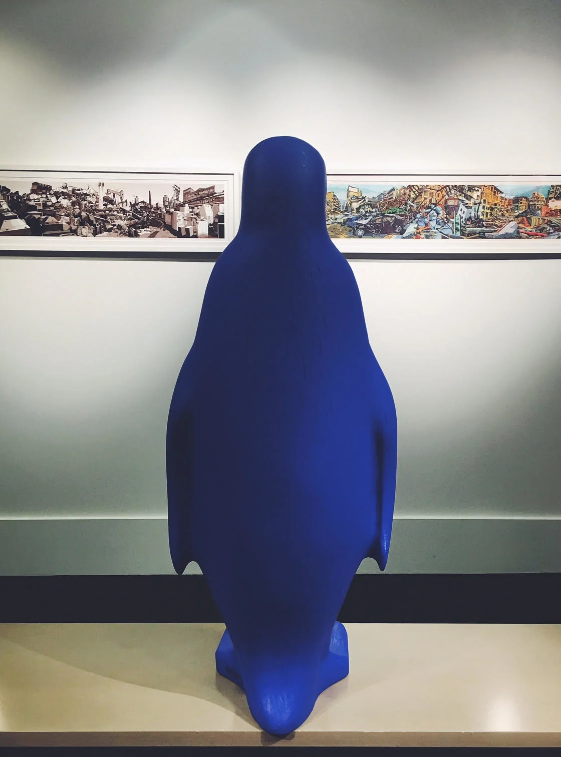 21c Blue Penguin