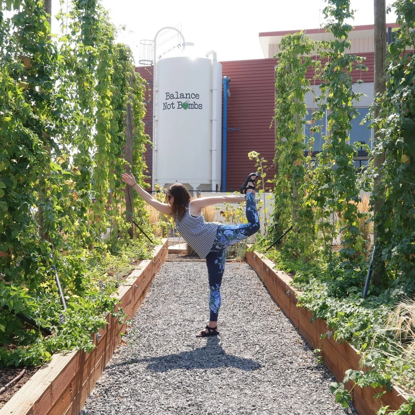 My personal review of the Yoga and Beer Retreat in Bend, Oregon: 