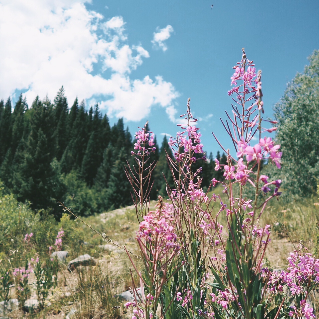 July Top 10 #theusiscooltoo