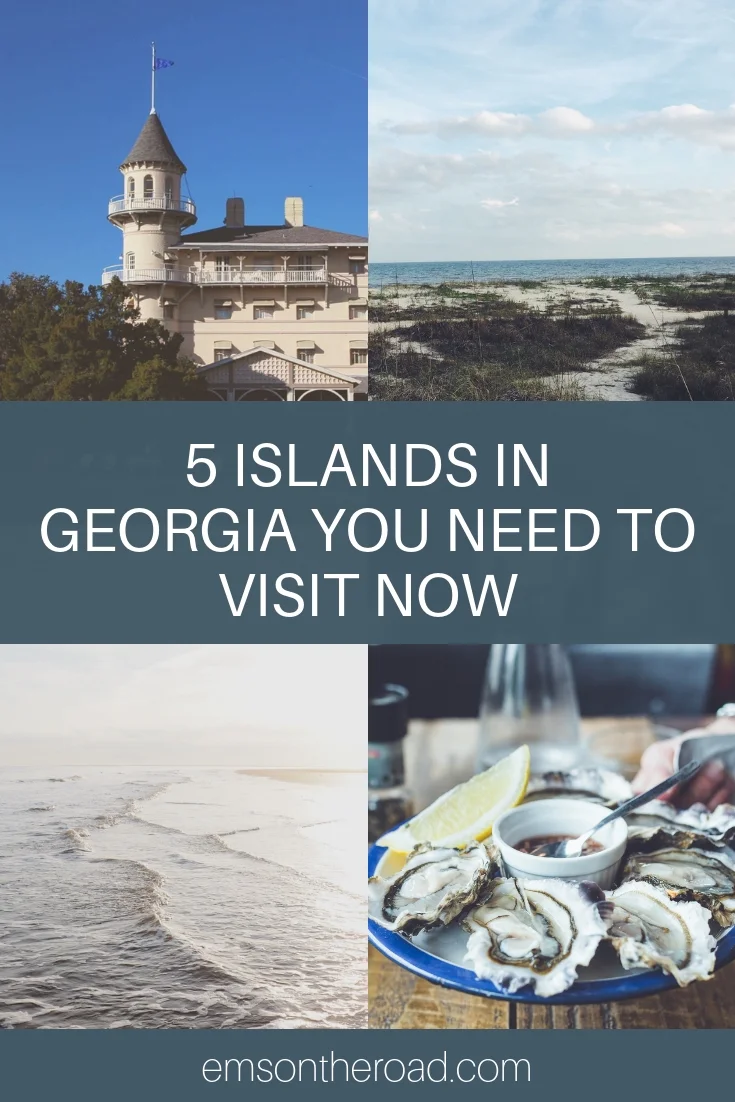 islands-in-georgia-visit.jpg