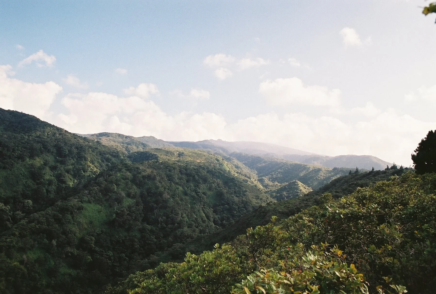 Looking up at the peak of Hale Mahina going across zip line #2 at Kapalua Zip Lines by Ryan Hines | Discover the 10 best things to do in Maui with these insider tips from an ex-resident. #maui #travel #hawaii