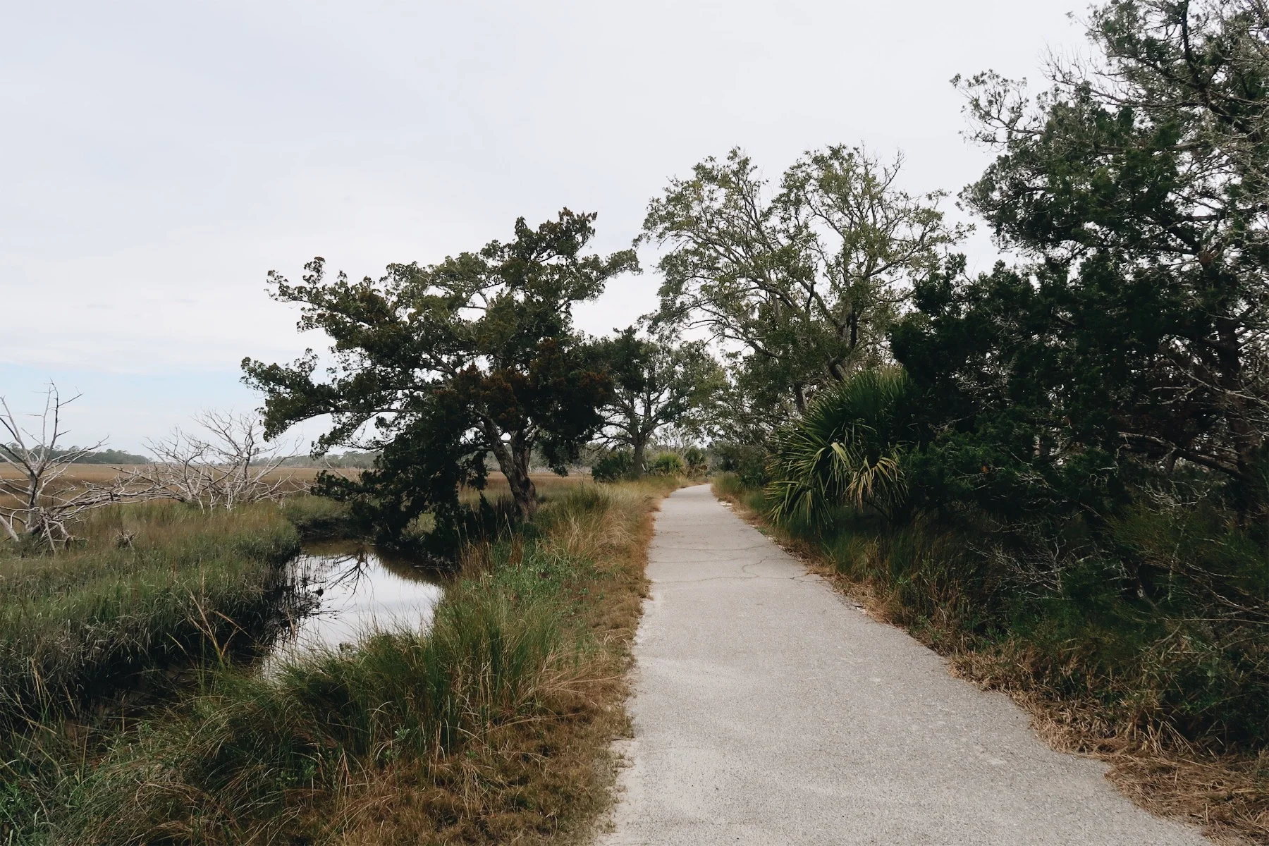 Jekyll Island Bike Path near Driftwood Beach