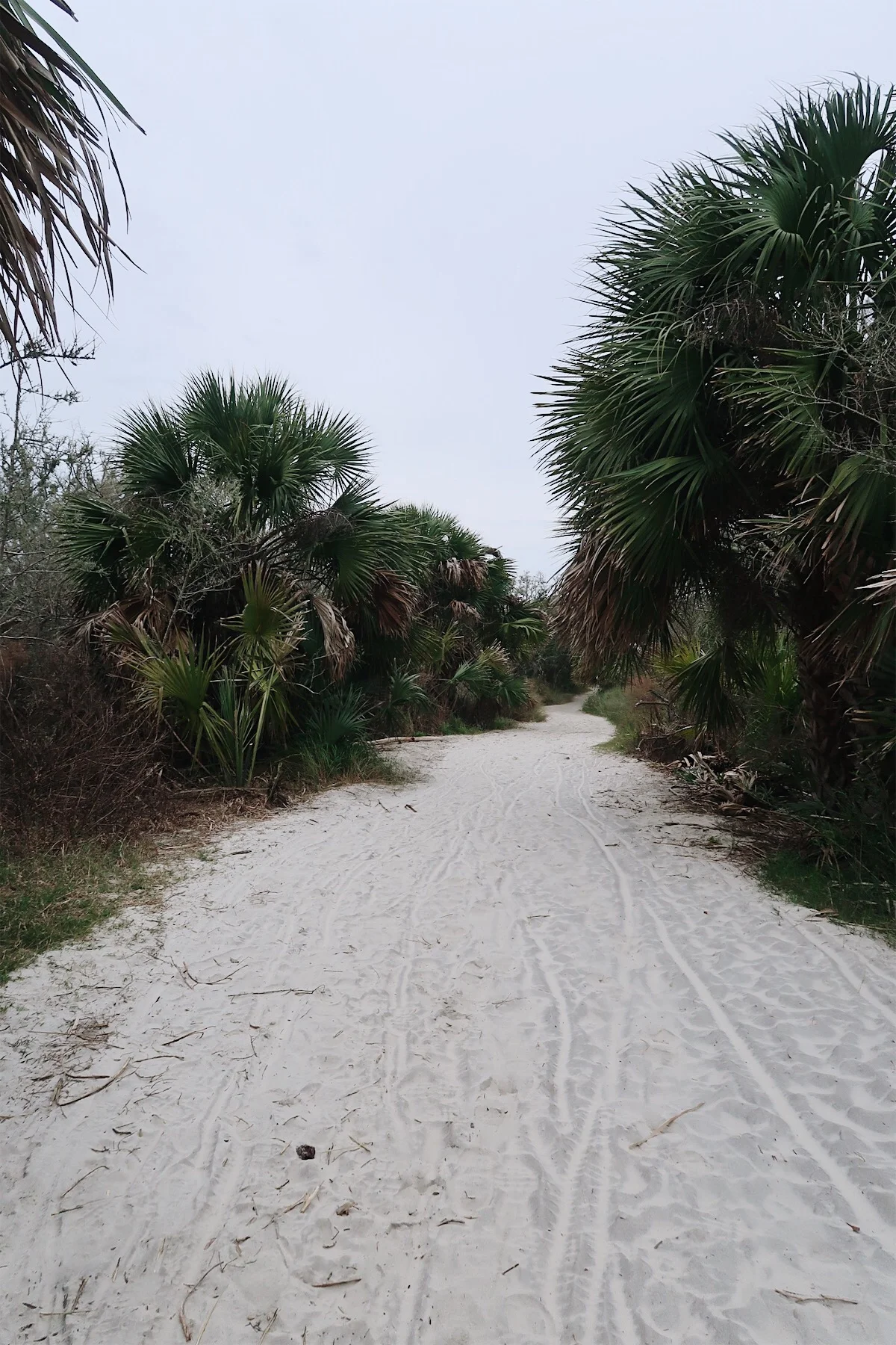Walking to Driftwood Beach