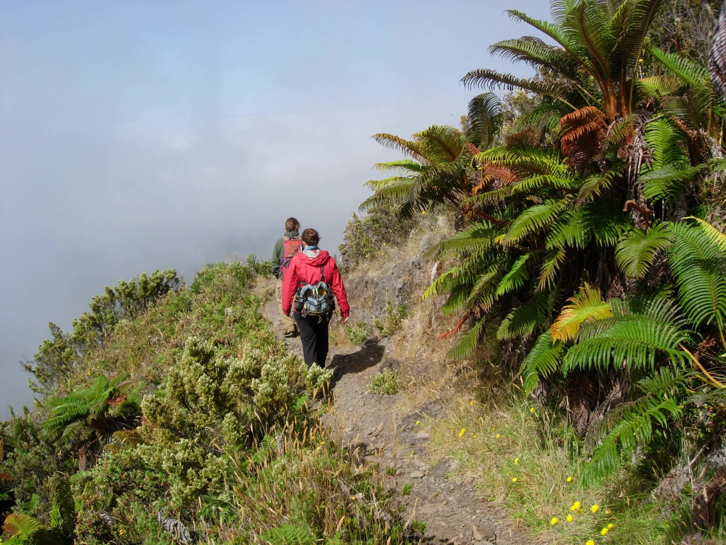 Hiking at Haleakala National Park