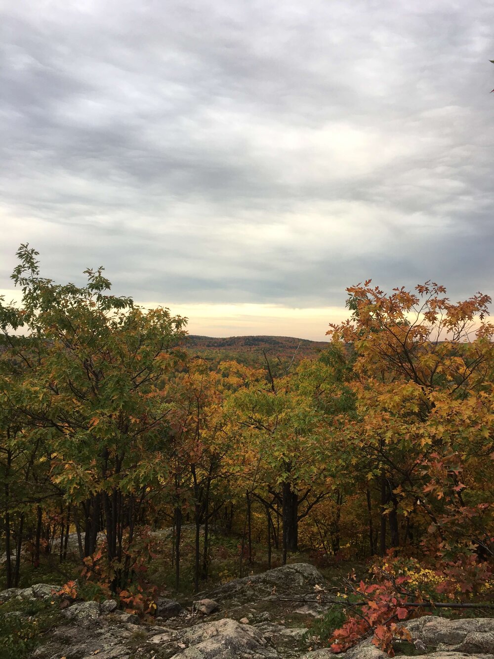 overlook-trail-echo-lake.jpg