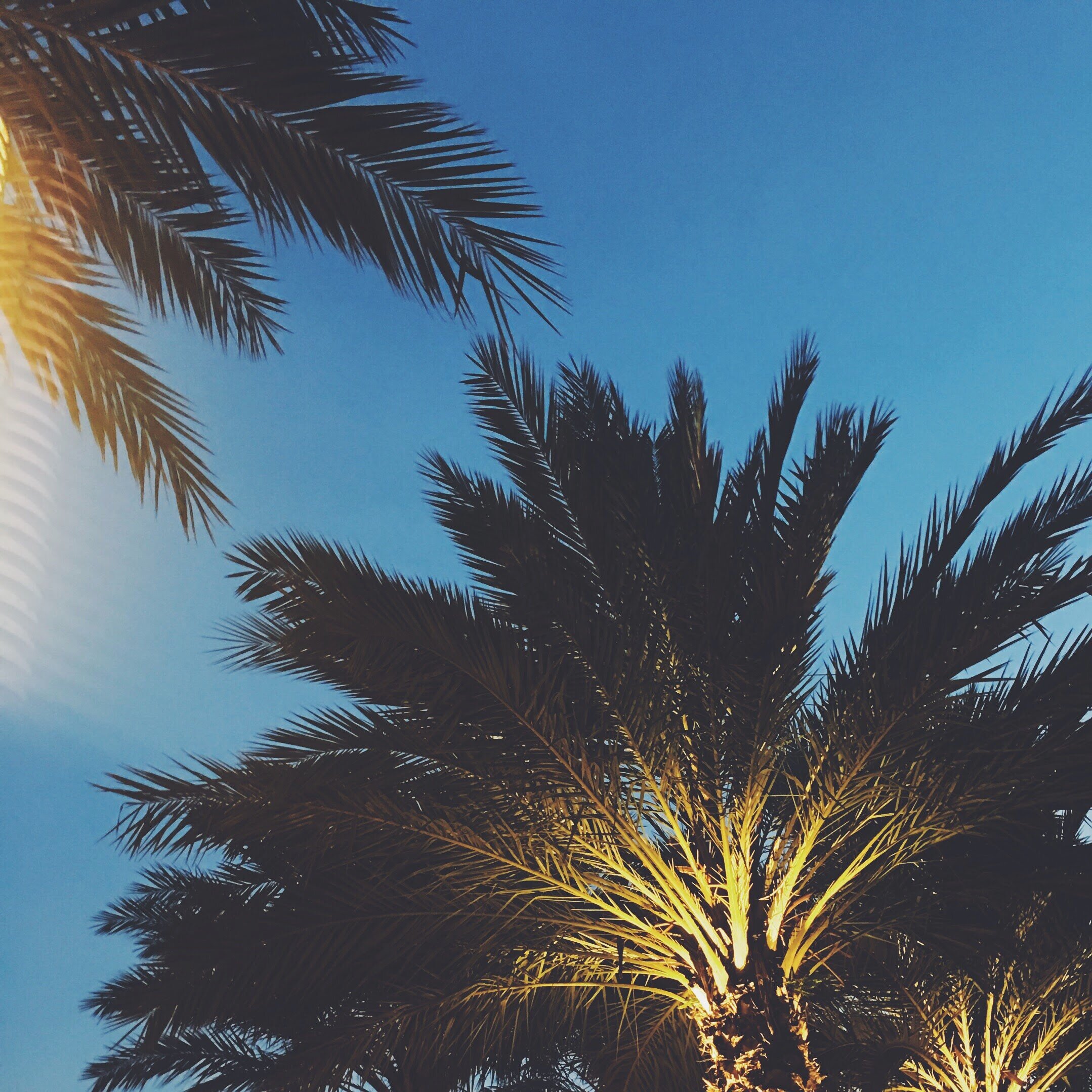 Beaches &amp; Beer Are Calling Your Name in Tampa, Florida