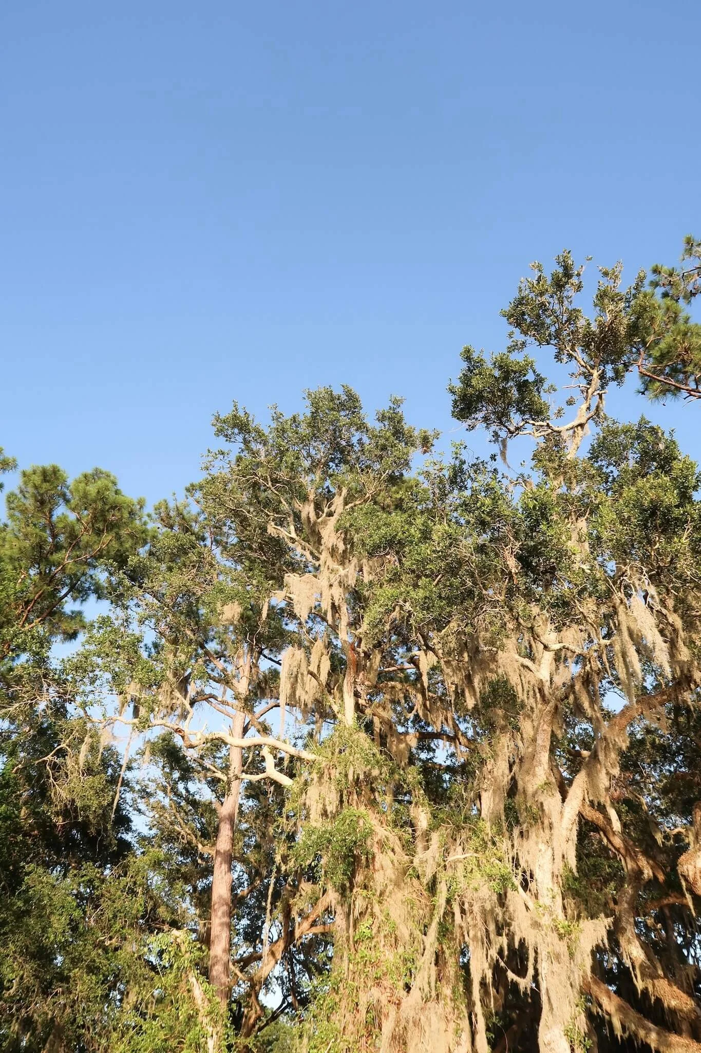 Race and Travel: Where I Go From Here