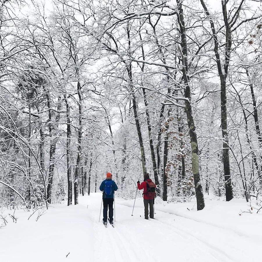 One Perfect Winter Day in Marquette, Michigan: A Local's Guide