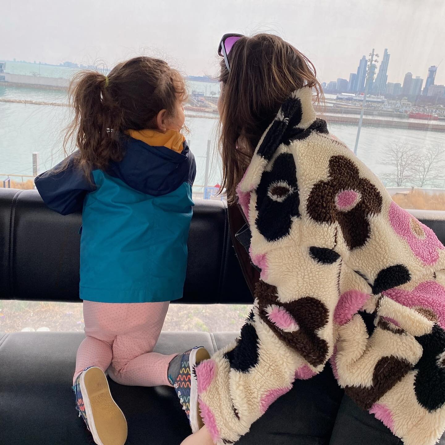 &ldquo;Mom, can this thing go any faster?&rdquo; -Fern, Navy Pier Ferris Wheel 😂 

Pretty proud of our first city girls trip in Chicago over spring break. 
Here&rsquo;s a few highlights:  @navypierchicago @lincolnparkzoo, @colorfactoryco , Millenniu