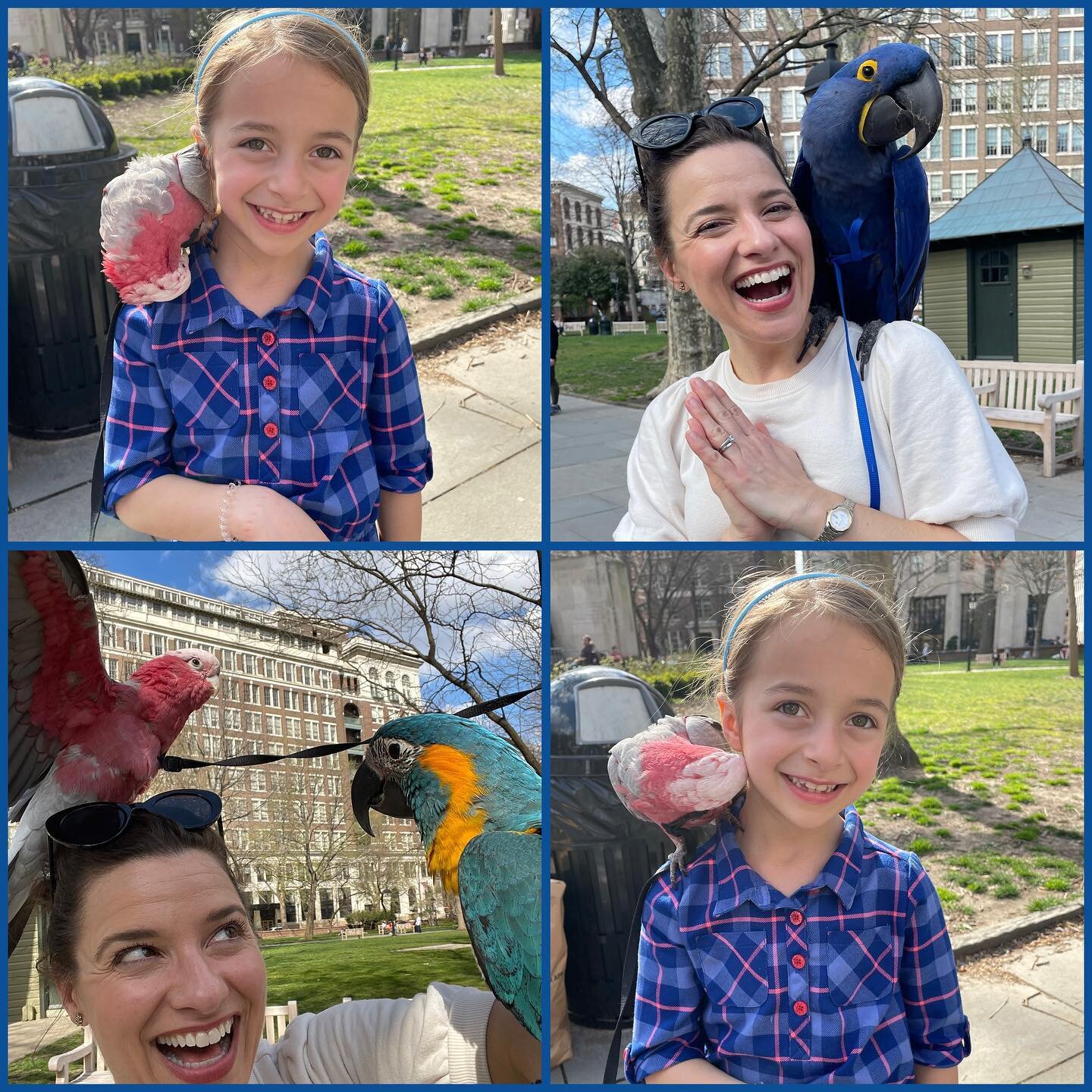 #fridayfeelings &hellip; Happy Flyday Everybody! One of the highlights of our time in #philly over spring break was meeting these incredible creatures in Washington Square. Their owner brings them to this park frequently just to make people smile! He