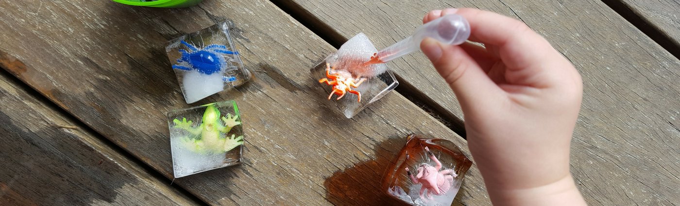 Plastic toys trapped in ice