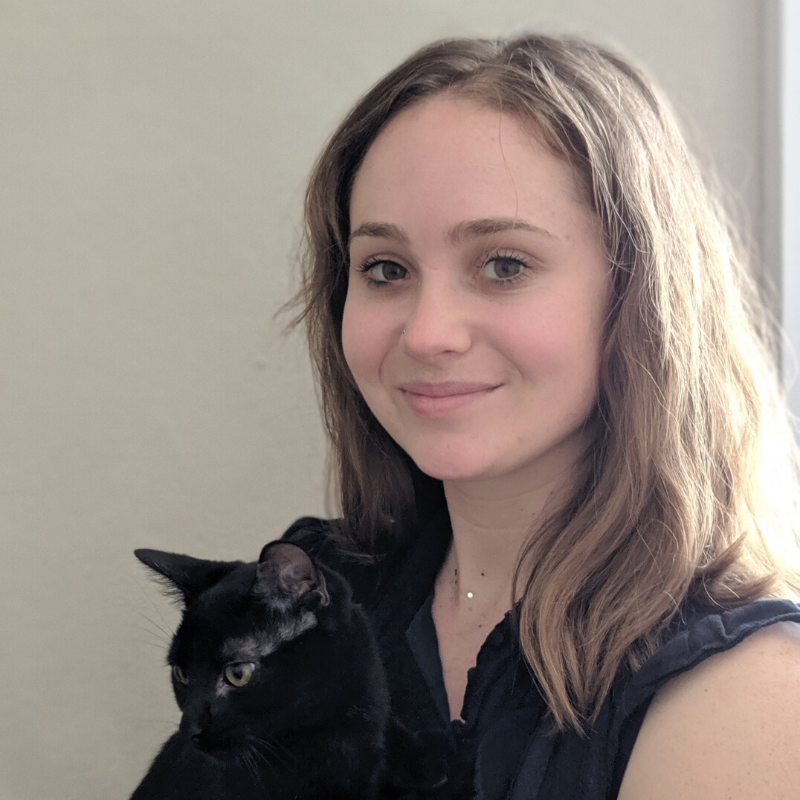 Finding Your Voice a MultiGenre — Writing Dallas