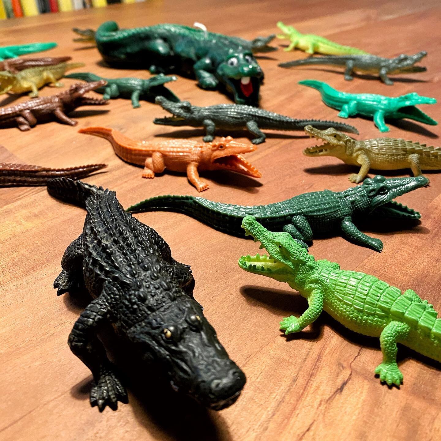 I bought all these to do something with them, but then didn&rsquo;t. Which is your favorite? #alligators