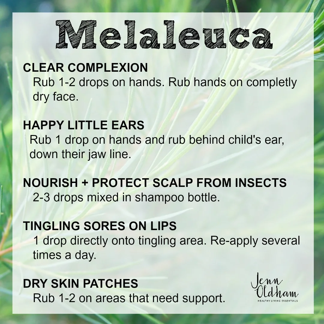 How to Use Melaleuca
