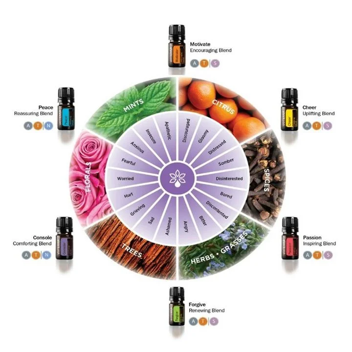 Doterra Emotional Aromatherapy Is My Jam