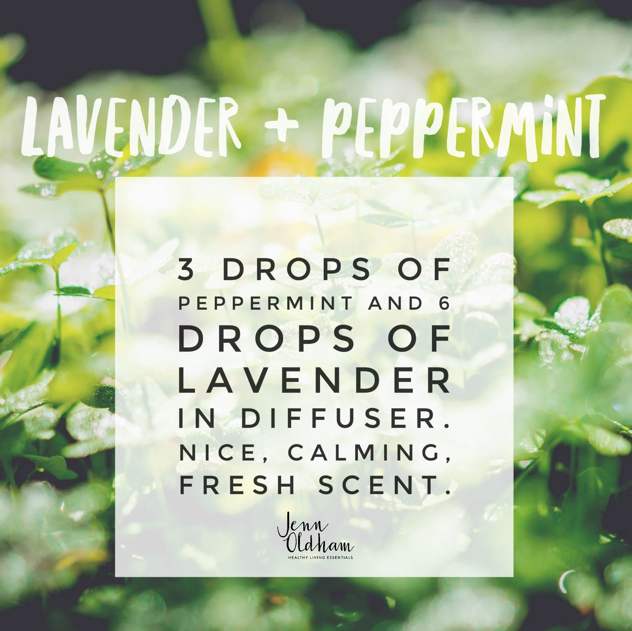 Lavender and Peppermint Diffuser Recipe - Jenn Oldham.jpg