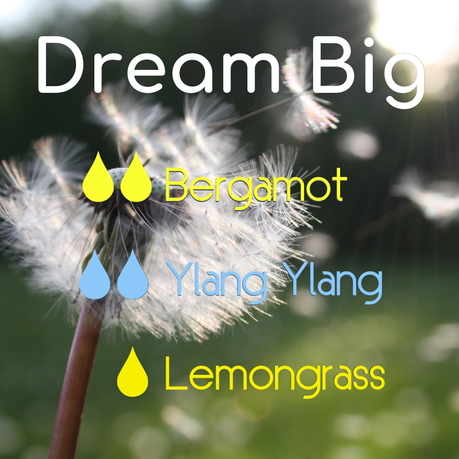 Dream Big Diffuser Blend