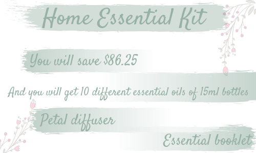 Home Esssential Kit.png