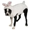 Mit Bunny macht's mehr her