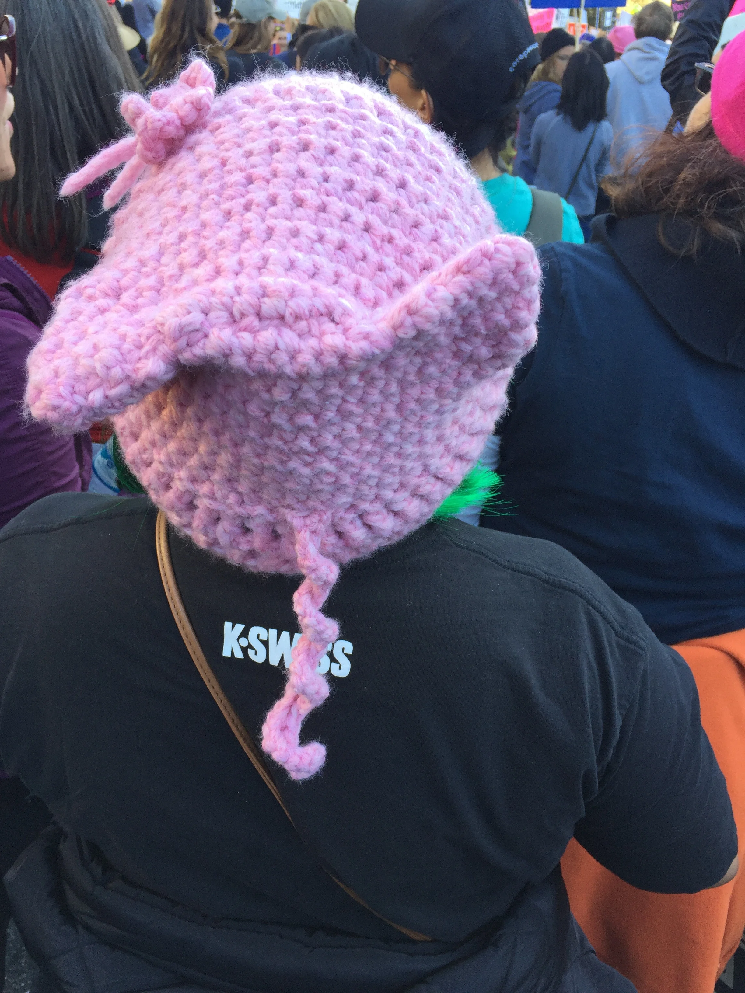 Einigen Pussyhats war ein Schwanz gewachsen