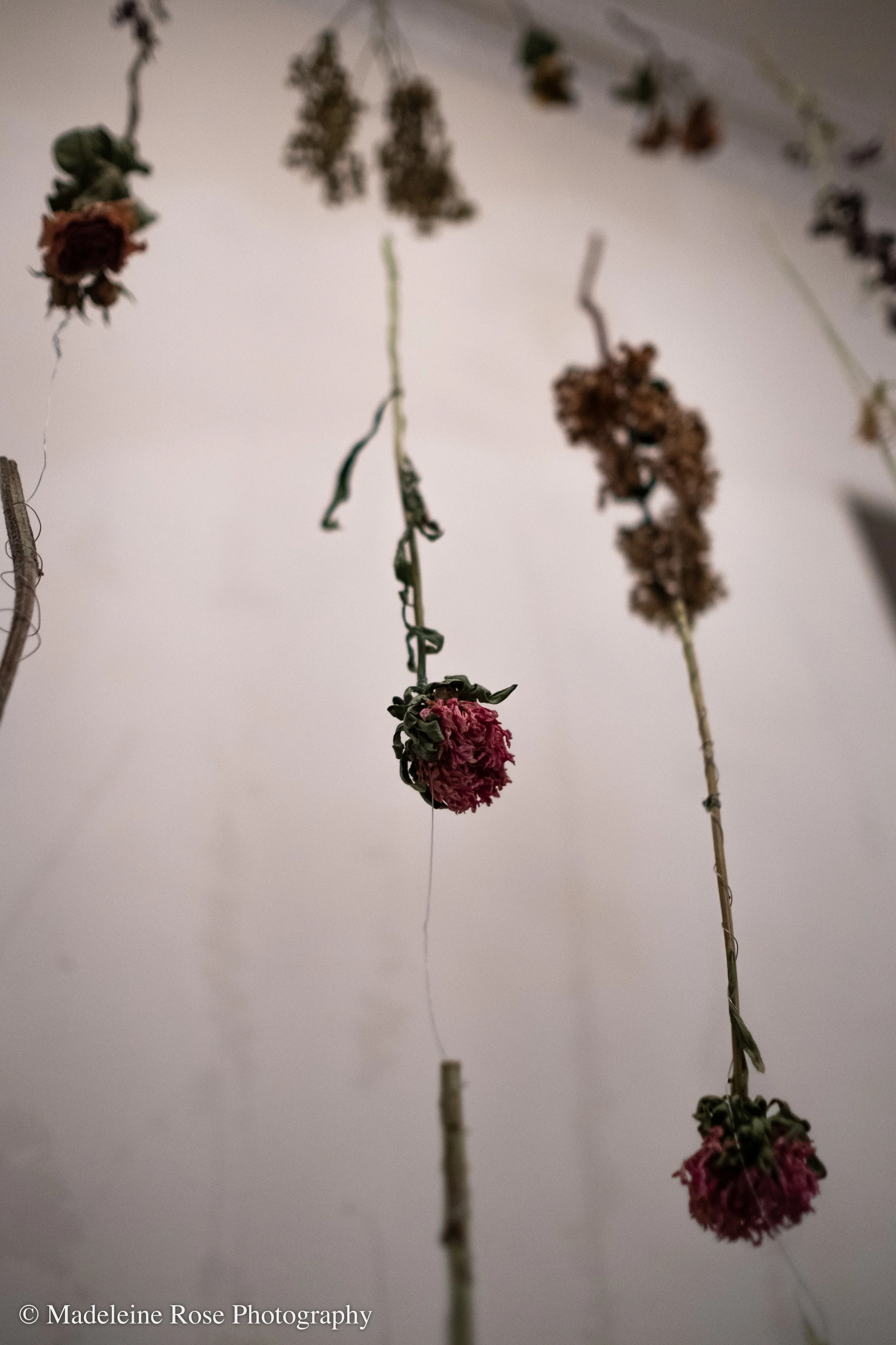180811_EF_funeralflowers-2.jpg
