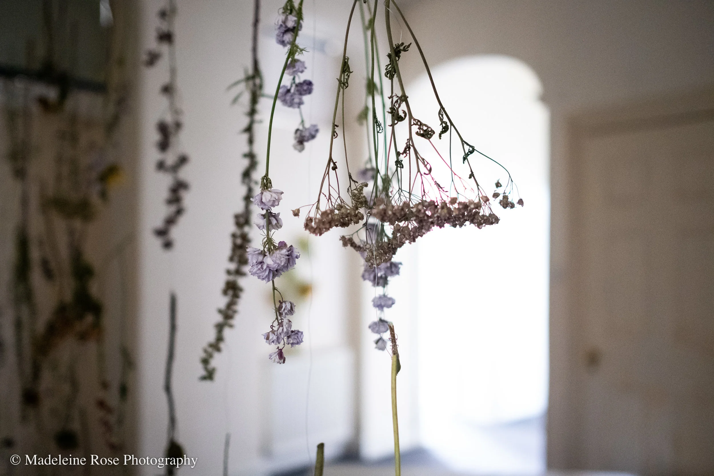 180811_EF_funeralflowers-3.jpg