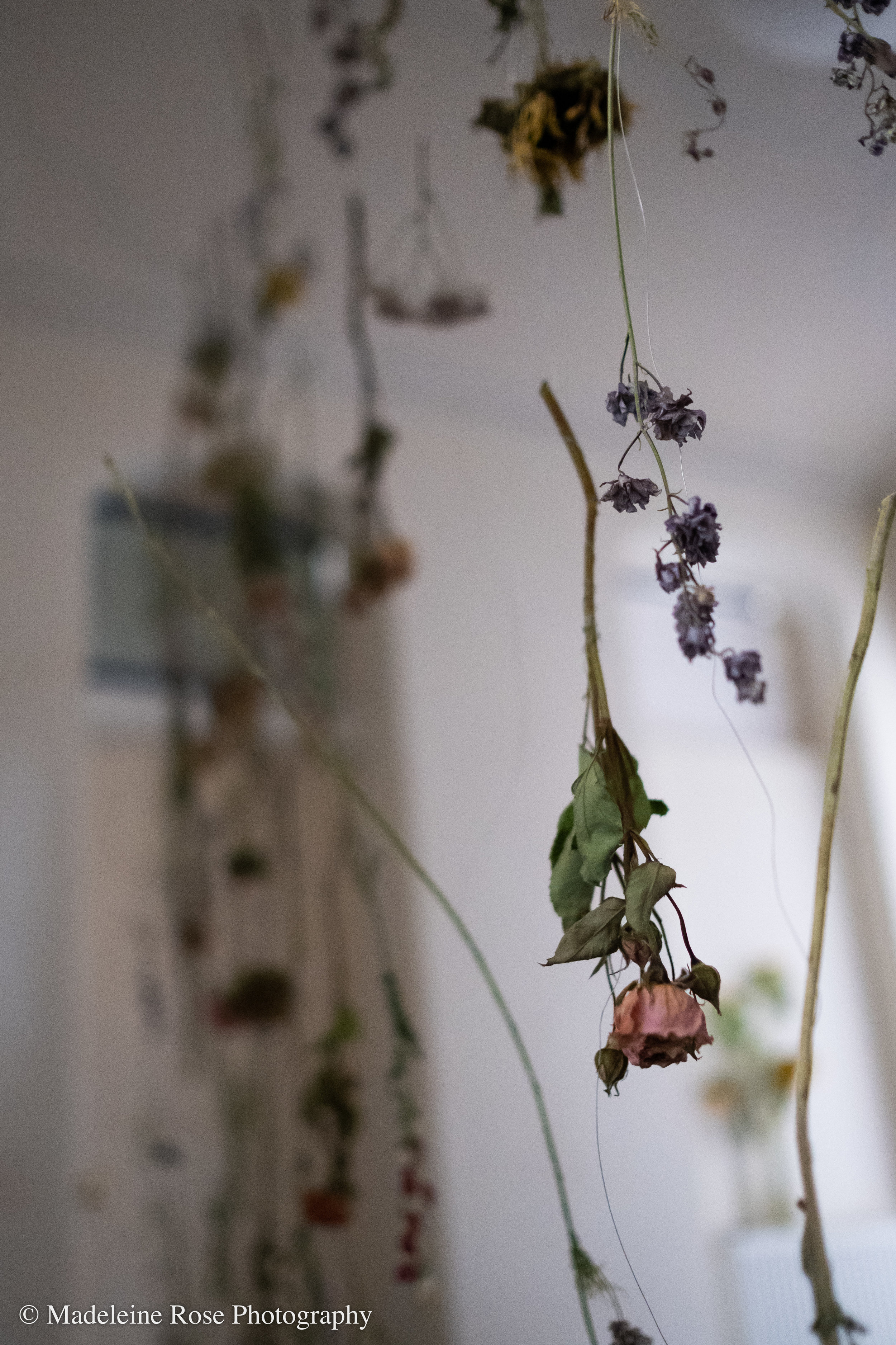 180811_EF_funeralflowers-4.jpg