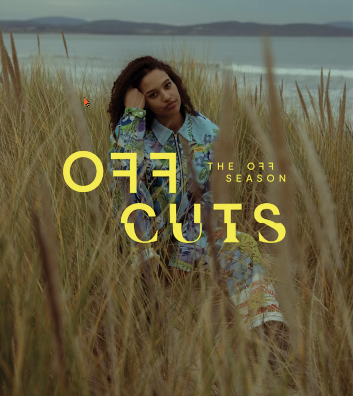 Screenshot 2024-05-26 at 8.56.20 pm.png