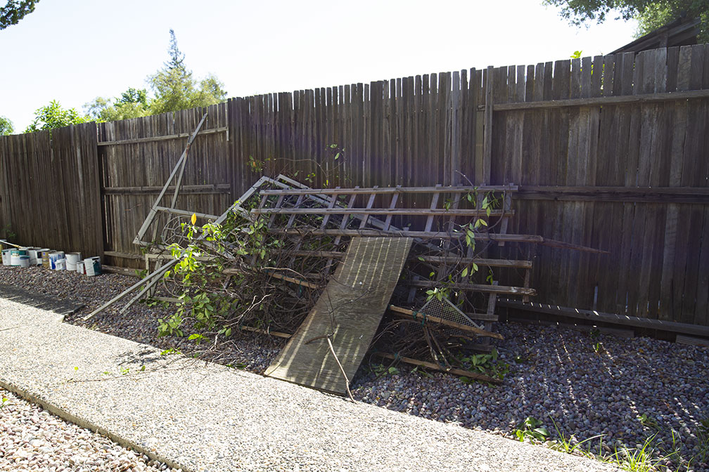 Overgrown04.jpg