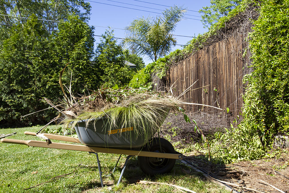 Overgrown03.jpg