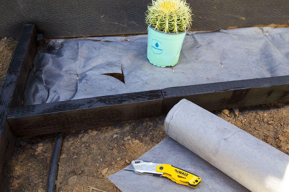 MCM_SideYard_Spraypaint.jpg