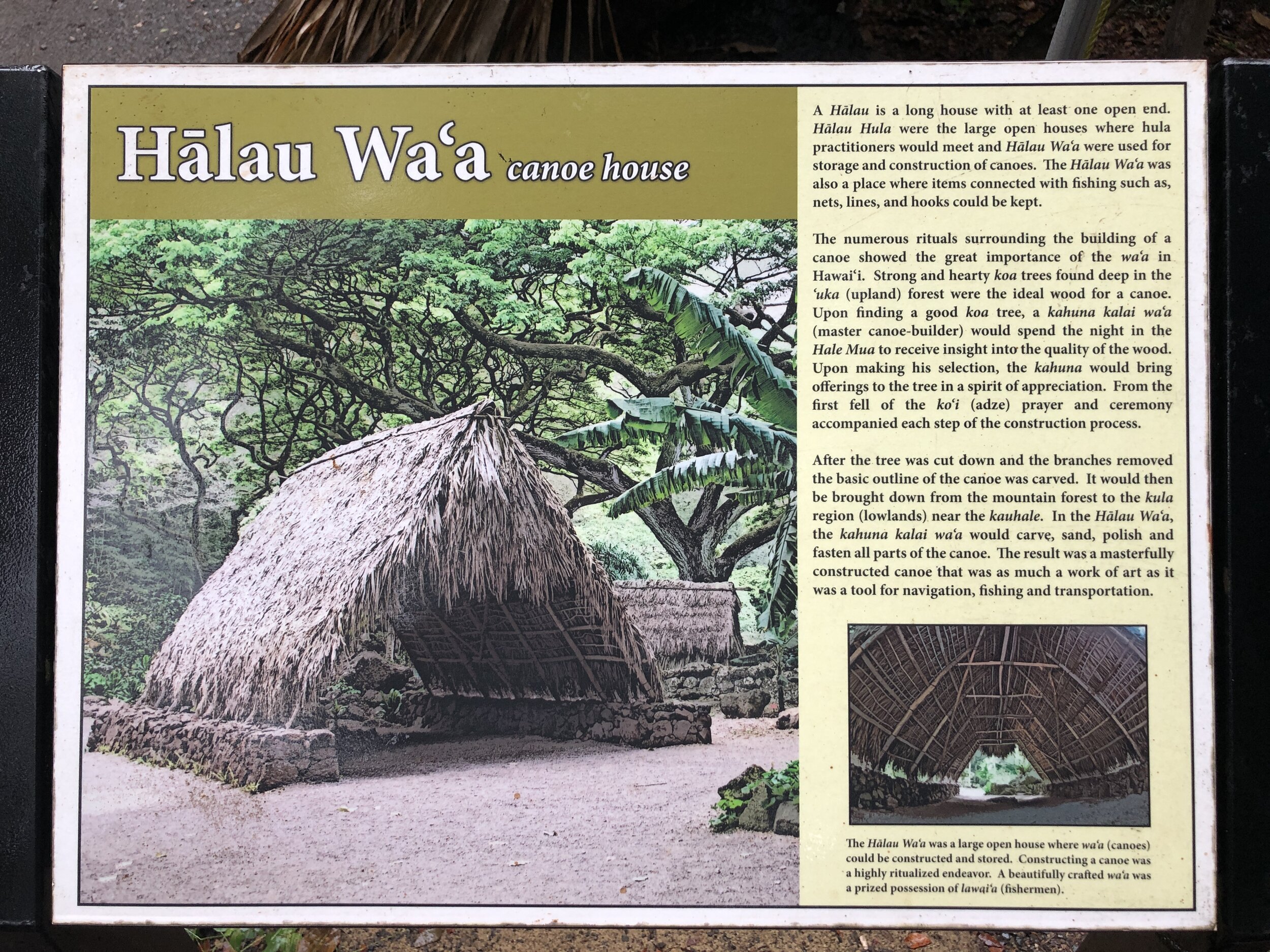  Hālau Wa’a placard in Waimea Valley 