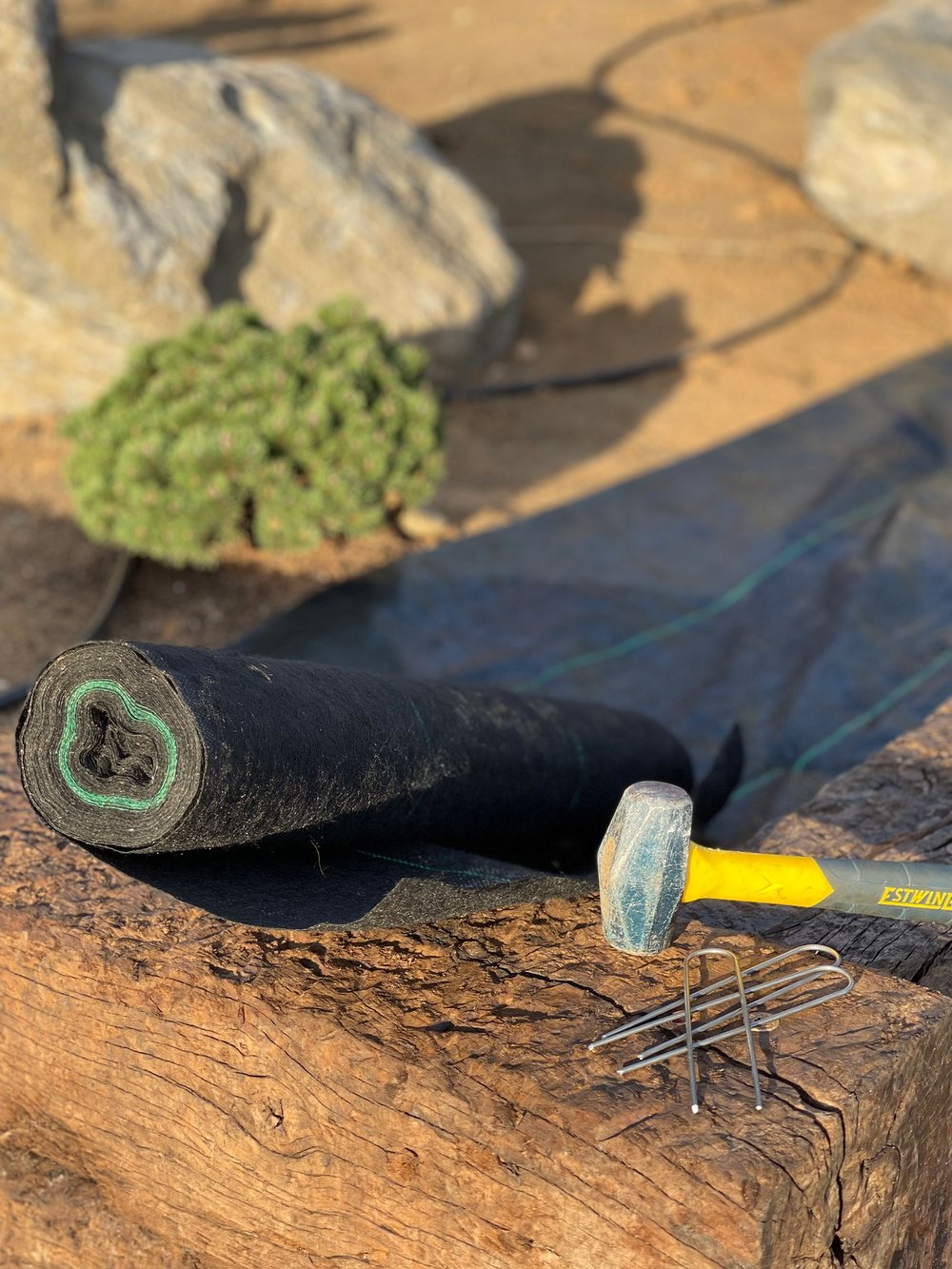  Weed barrier fabric is secured to the ground with heavy-gauge landscaping staples. 