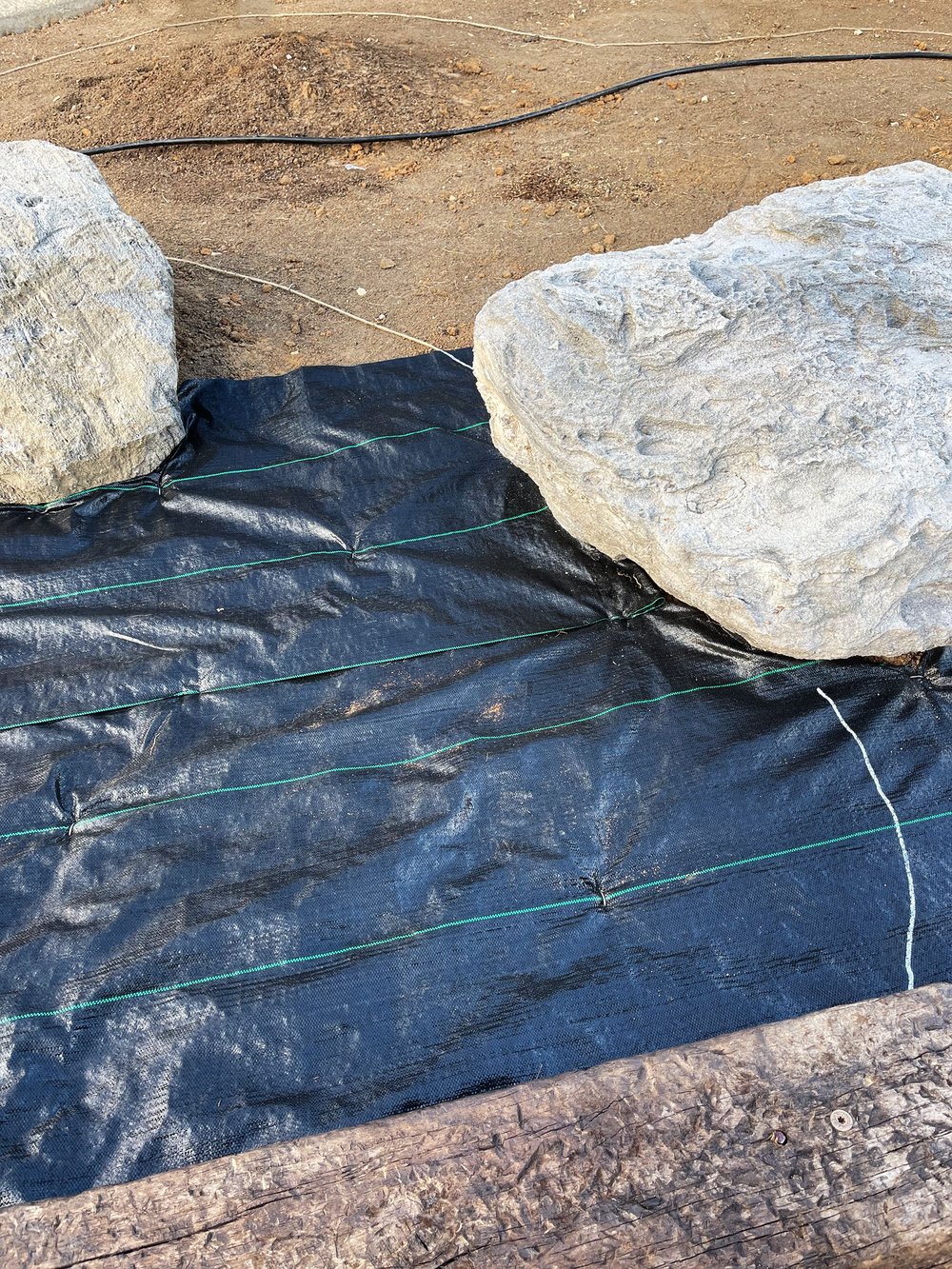  Planning lines are roughly defined with twine on the soil layer, then marked with a contrasting paint pen on weed barrier. 