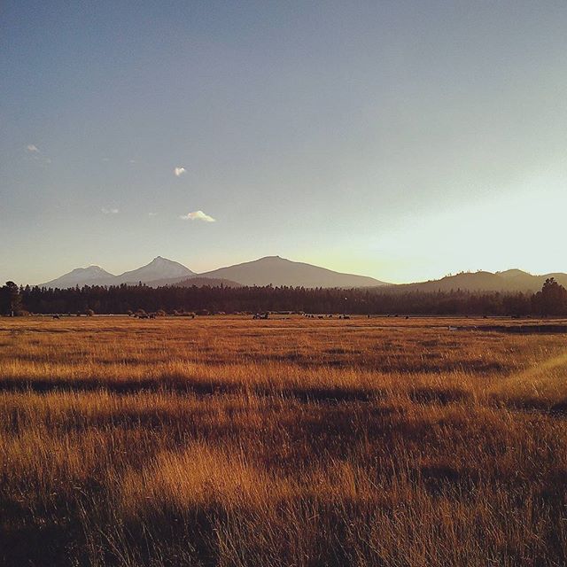 With fall is upon us, I only want to be one place. #centraloregon #tbt