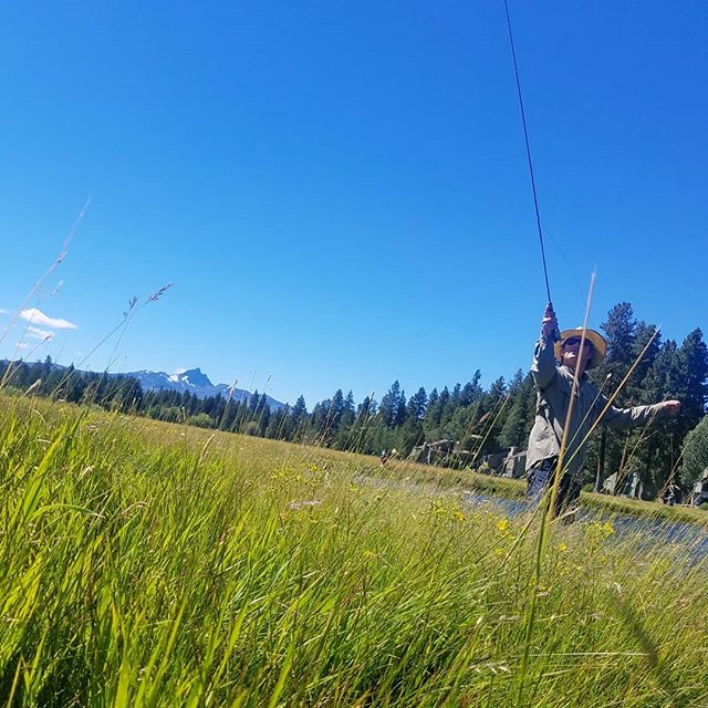 Trout as well as eternal salvation comes by grace; and grace comes by art; and art does not come easy. - Norman Maclean #ariverrunsthroughit #troutbum #summervibes #upperleftusa