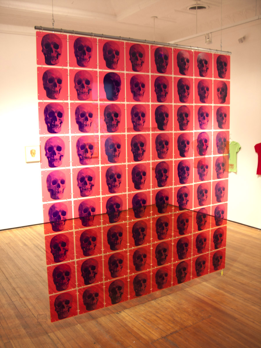 " Skull Screen" Christopher Henry Gallery NYC 2015