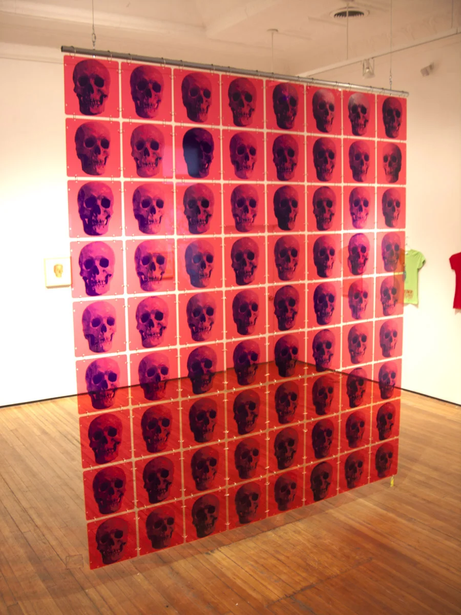 " Skull Screen" Christopher Henry Gallery NYC 2015