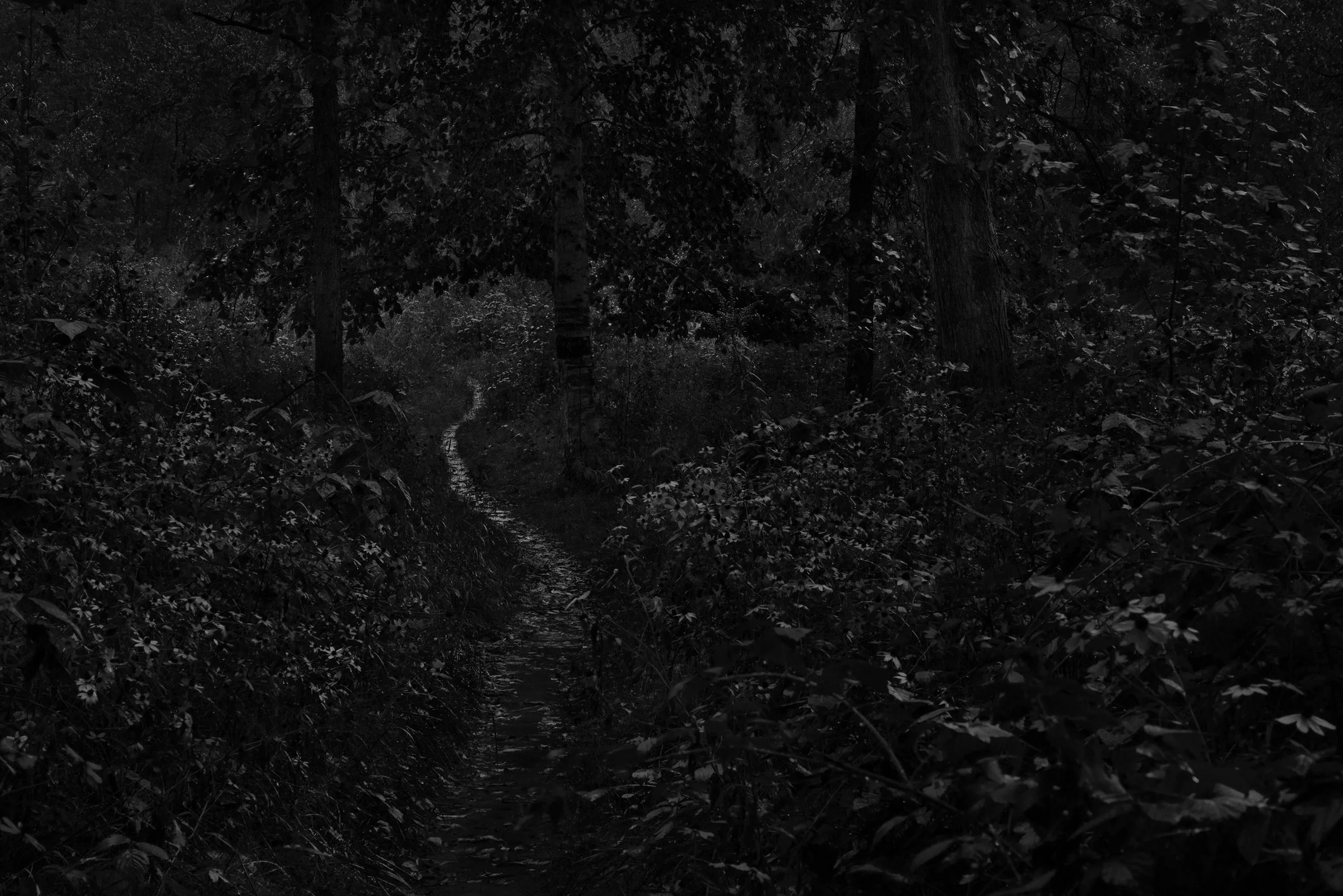ResWoods-B&W2.jpg