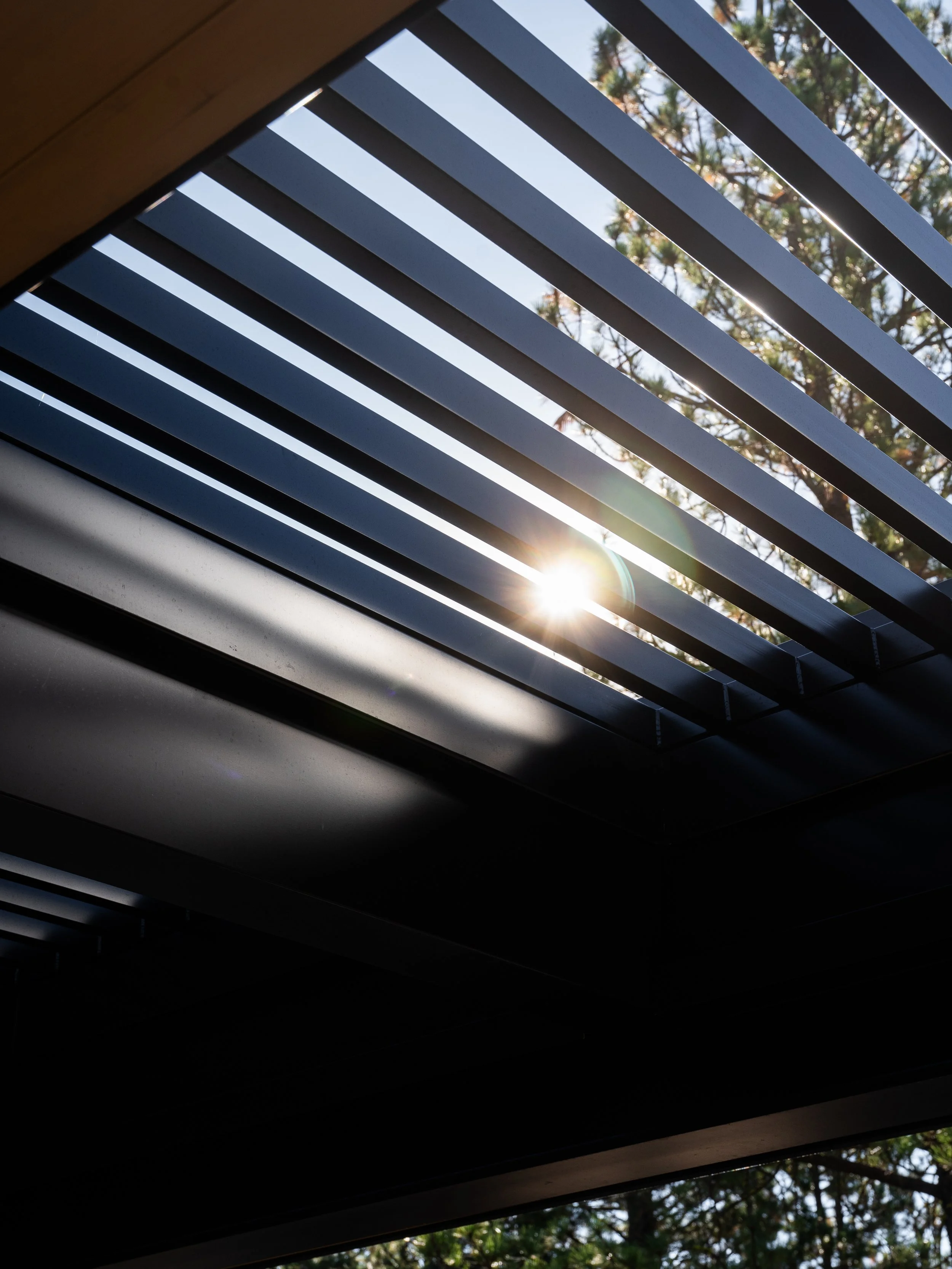 Schaffers Mill Project - WEB_.jpg