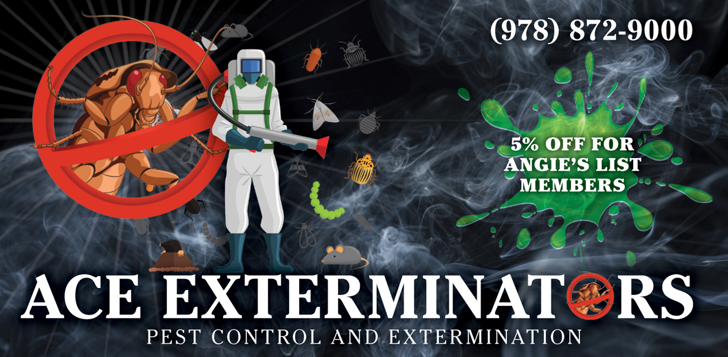 AceExterminators.png