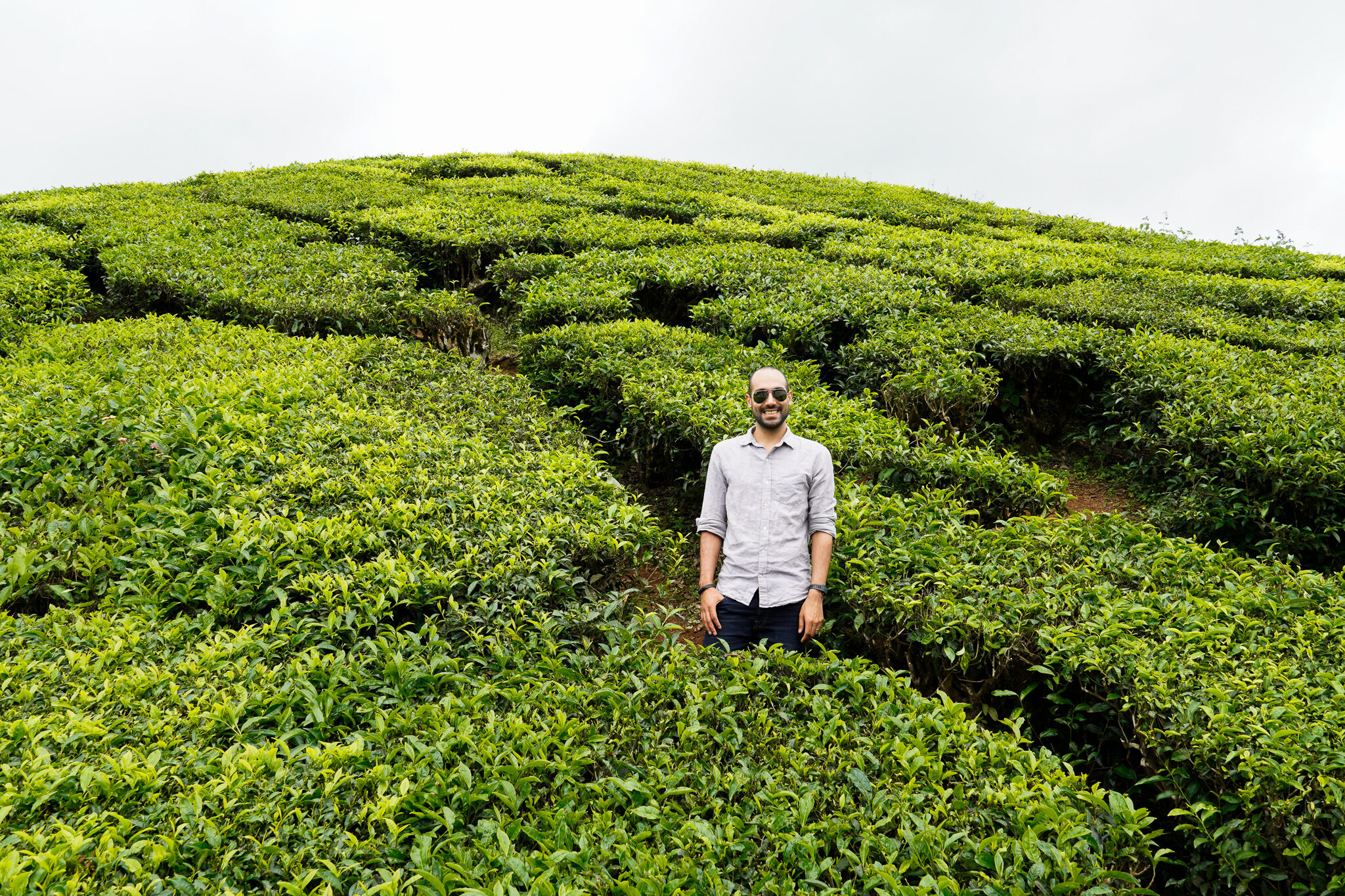 Tea Plantations in Munnar