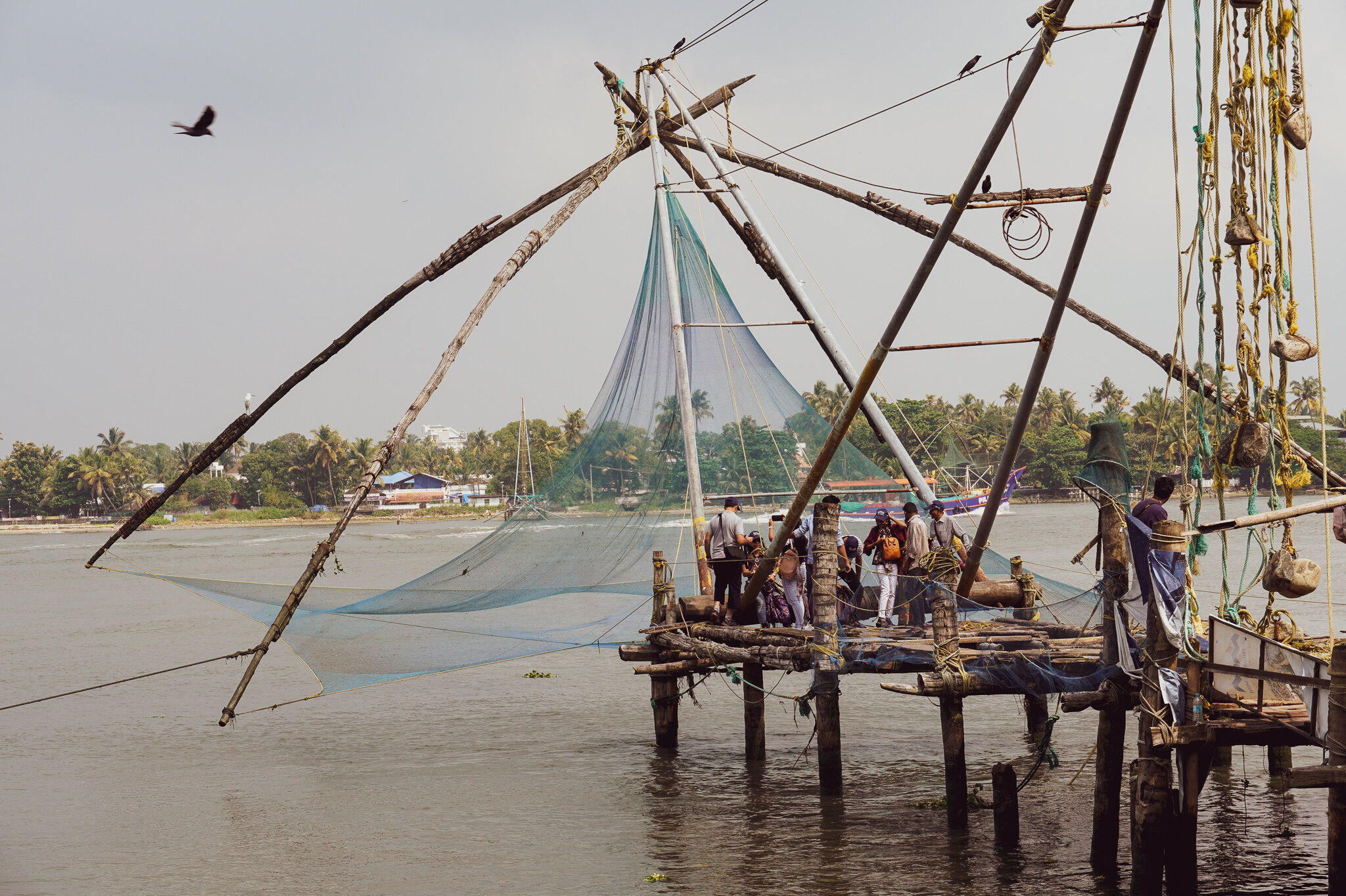 Chinese Fishing Nets