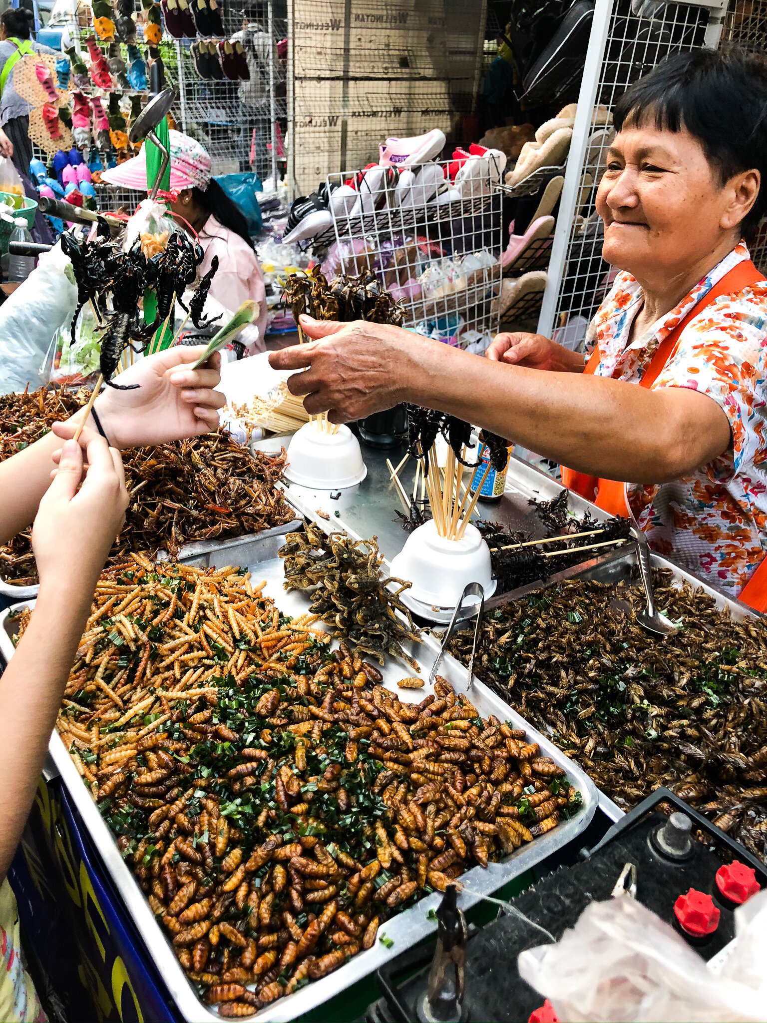 Scorpians at Chinatown