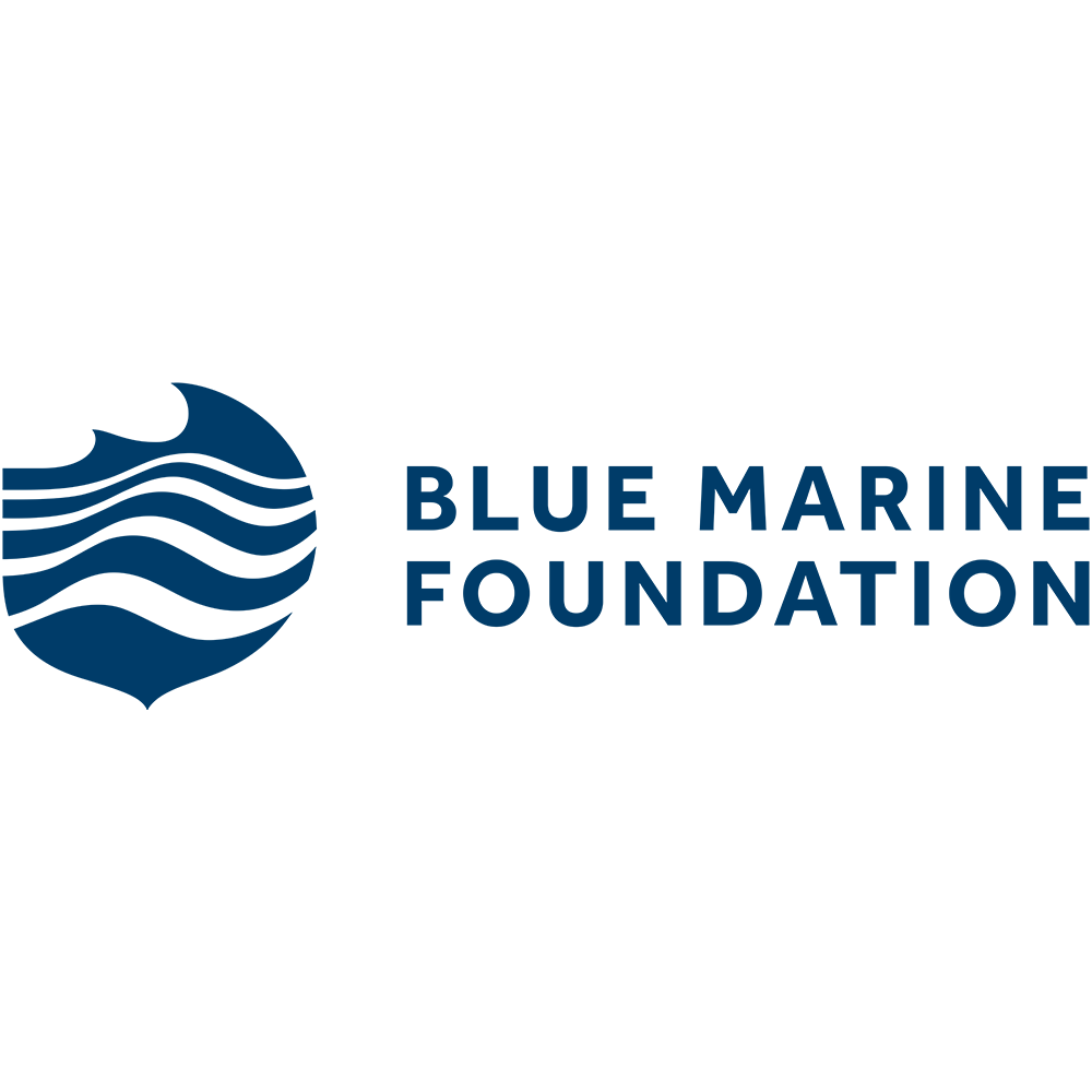 Blue Marine Foundation_Colour.png