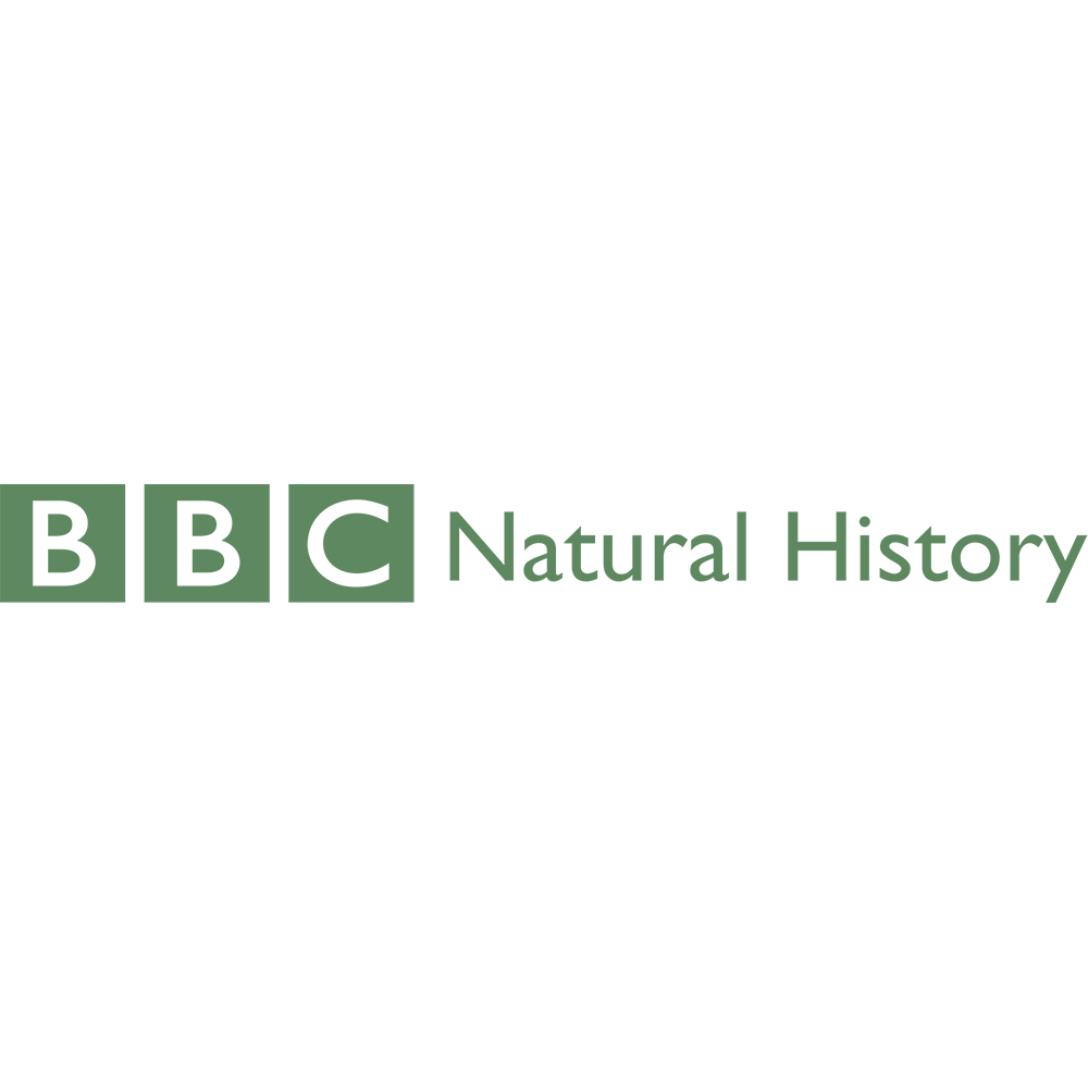 BBC NHU Logo_Colour.png