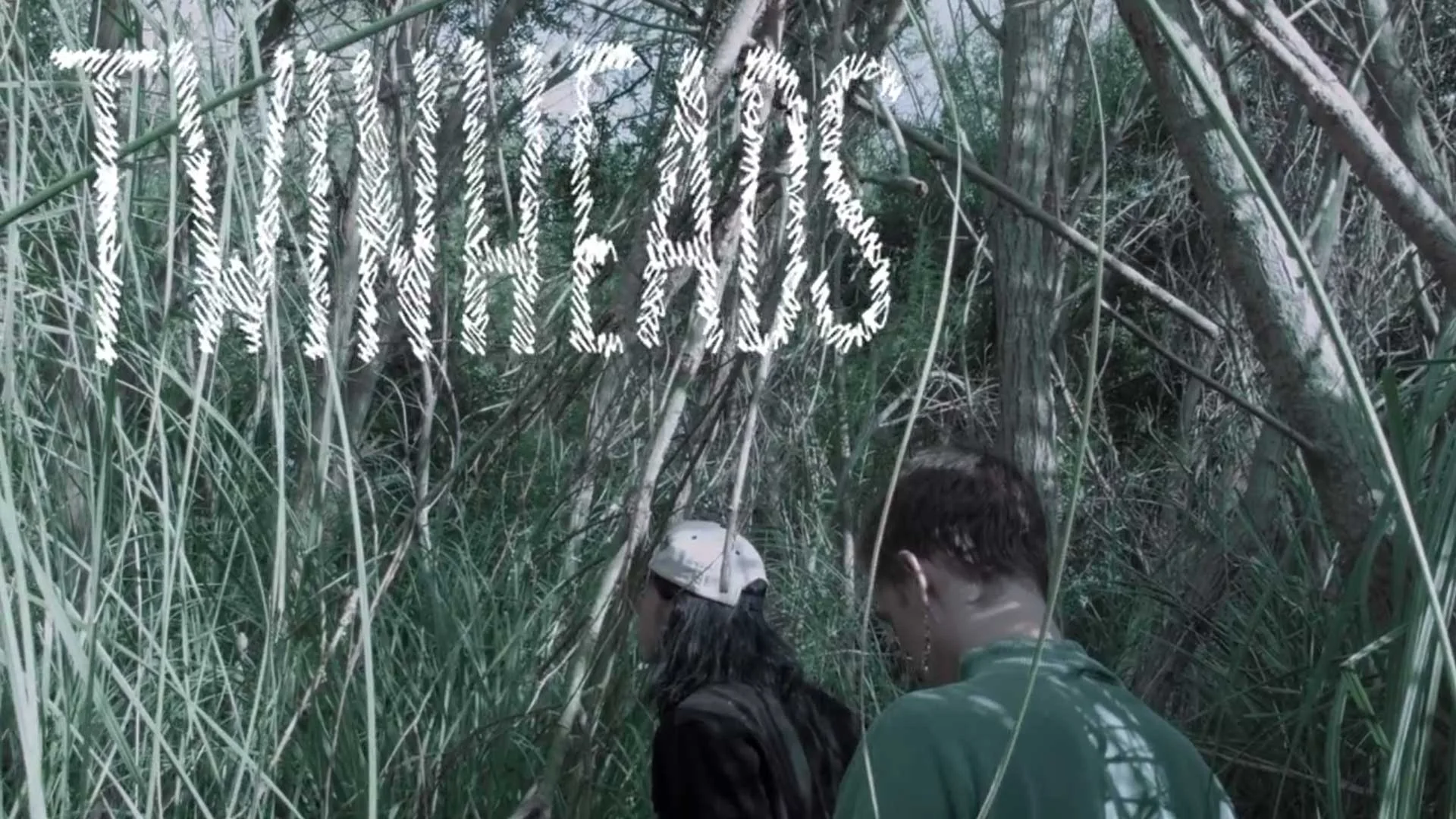 Twinheads